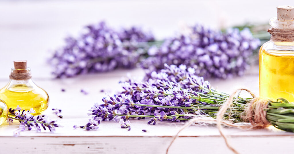 Wholesale of lavender essential oil and flower water